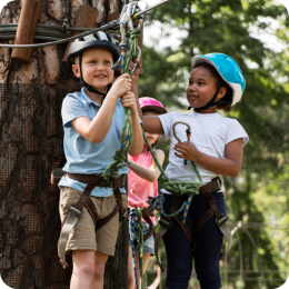 Item → Link 02 → Link - Primary