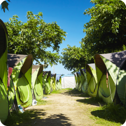 Item → Link 03 → Link - Primary